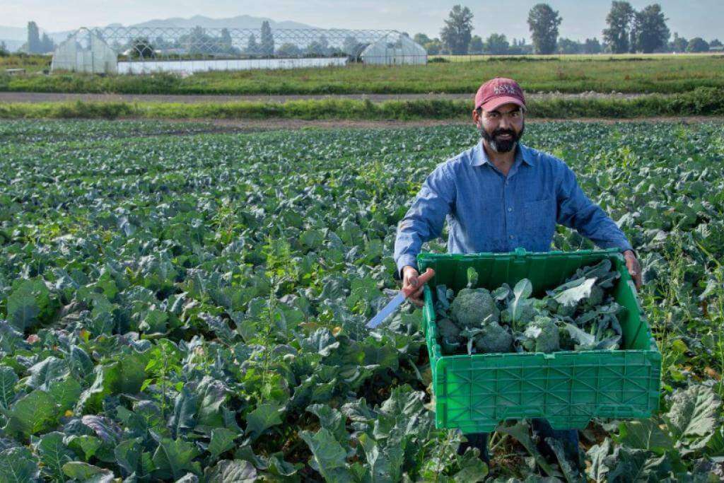 10 Profitable Agribusinesses to Start in South Africa